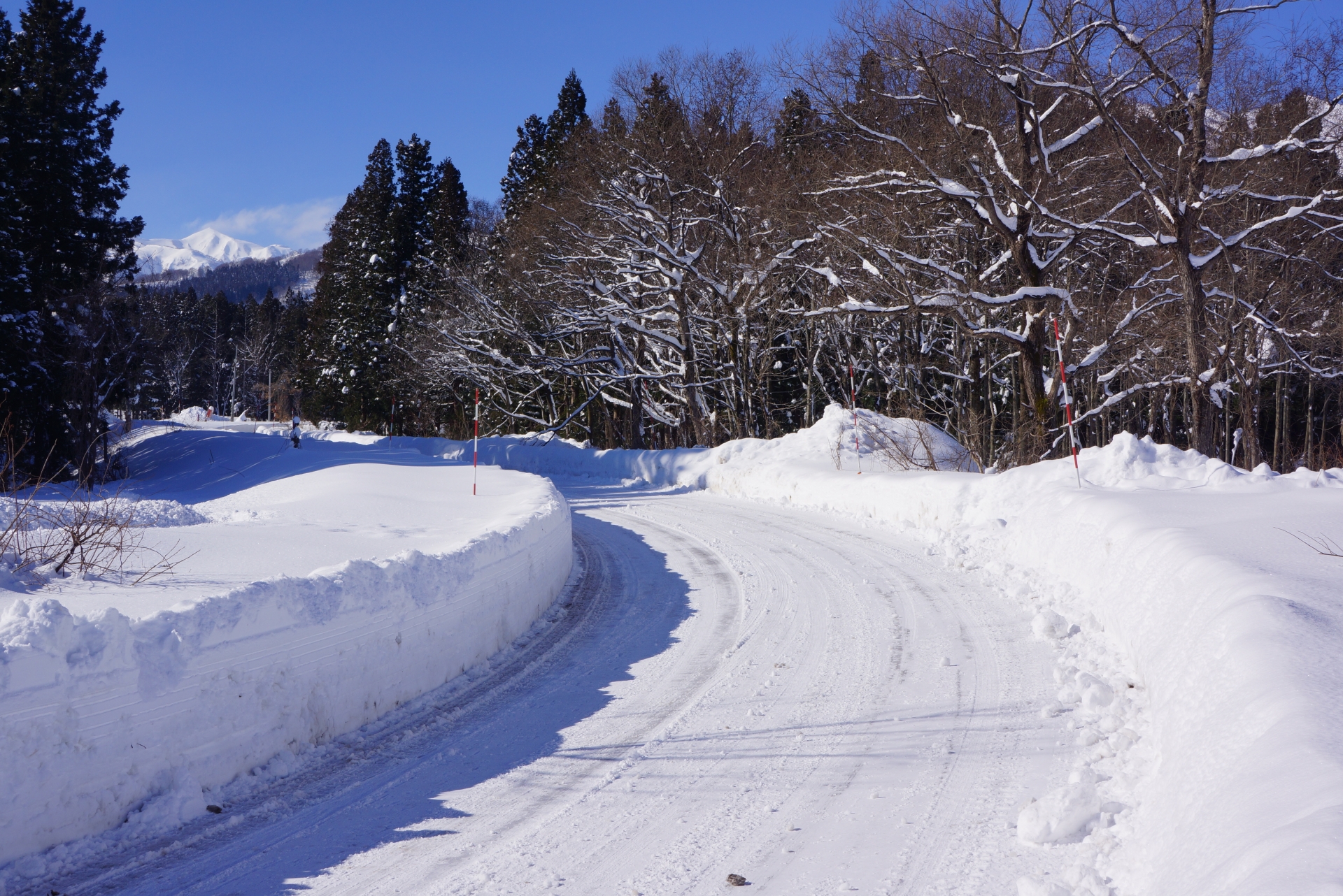 【1月】雪道運転は危険がいっぱい！？雪の日にタクシー運転手が気を付けること (2)