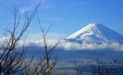 【タクシー×インバウンド】大手配車アプリDiDiが春節を前にリニューアル！国内でもエリア拡大でタクシー営業に期待！